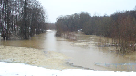 Hochwasser Litzelsdorf