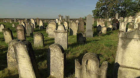 Jüdischer Friedhof Frauenkirchen