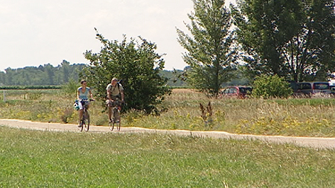 Radfahrer im Nationalpark Neusiedler See