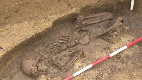 Das älteste gefundene Skelett Österreichs