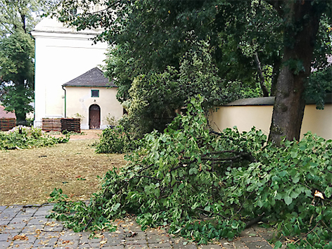 Umgestürzte Bäume in Großpetersdorf