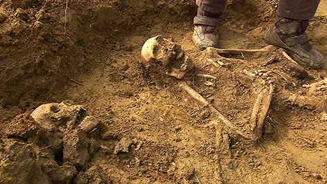 Russische Weltkriegssoldaten werden exhumiert