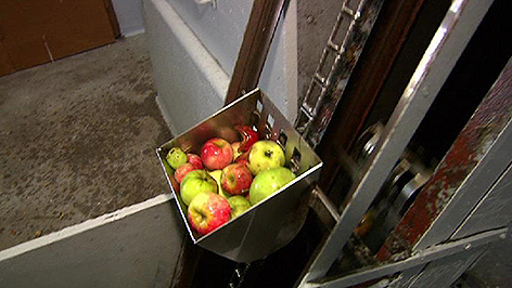 Apfelsaft Produktion Äpfel
