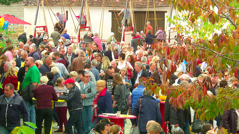 Kastanienfest in Klostermarienberg