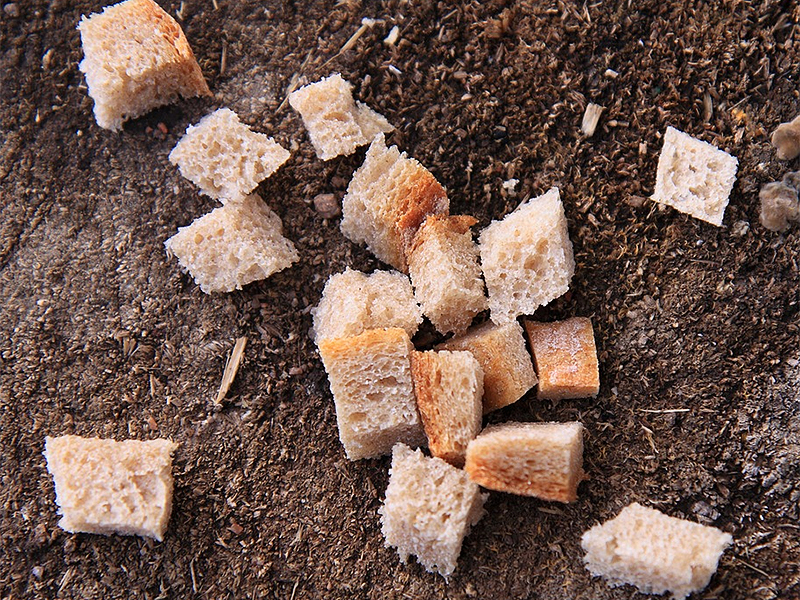 Croutons 