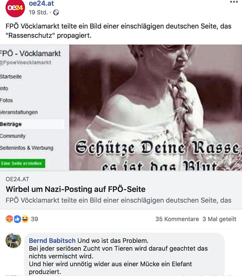 Kommentar Facebook FPÖ Rassenposting
