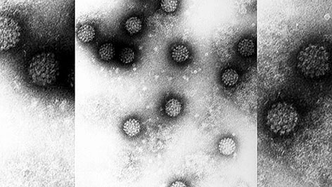 HPV Impfaktion